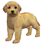 The preview icon for the Labrador Retriever shown in the Kennel.