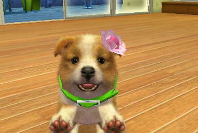 Nintendo dog collar hotsell