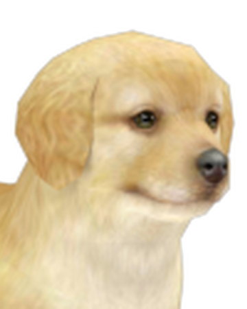 nintendogs golden retriever