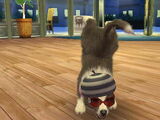 List of Tricks in Nintendogs + Cats