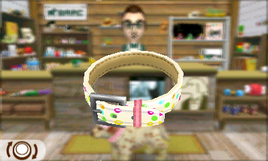 Nintendogs + Cats