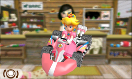 Nintendogs + Cats