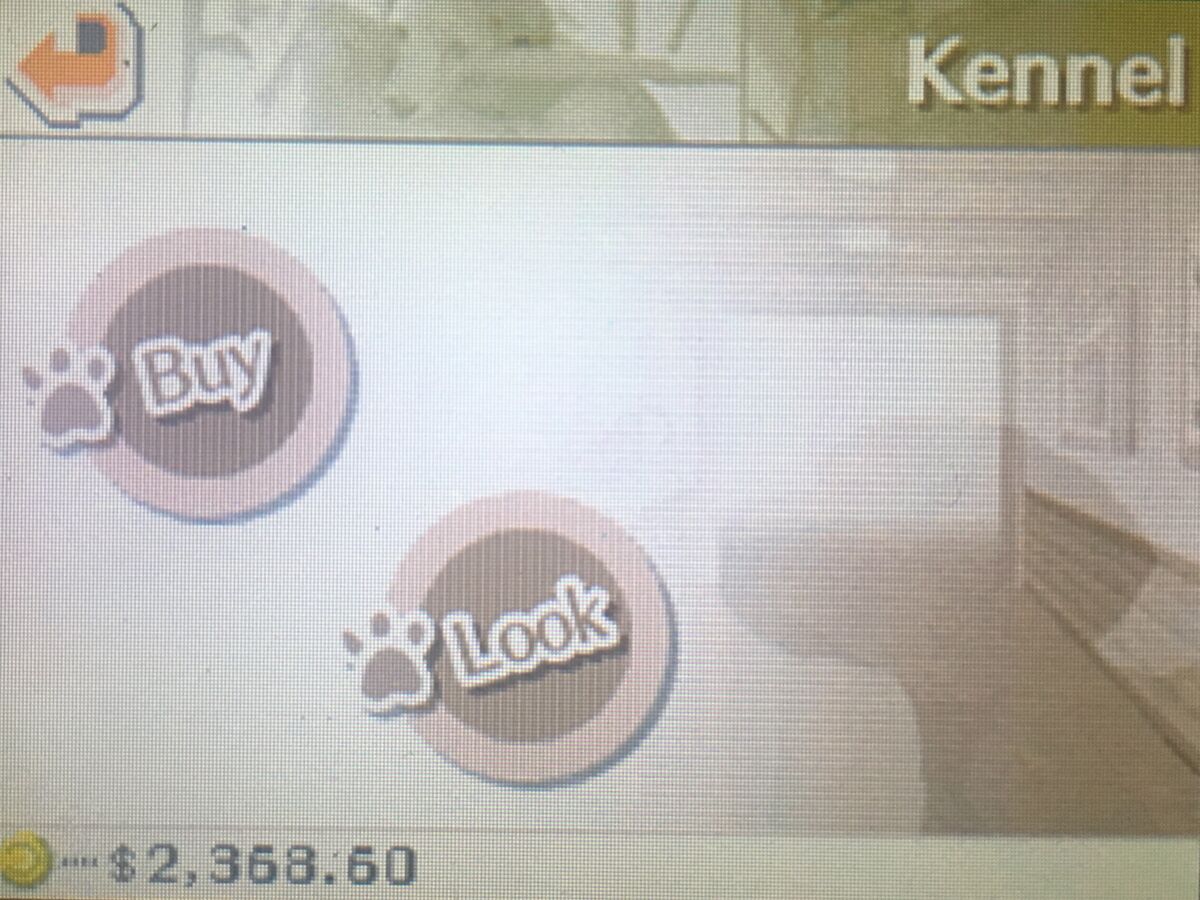 Kennel Nintendogs Wiki Fandom