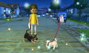 -Nintendogs Cats- 029