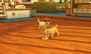 -Nintendogs Cats- 014