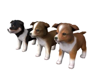 Tricolor, Bicolor, and Sable models (credit goes to satanlegs of 3D Models Resource)