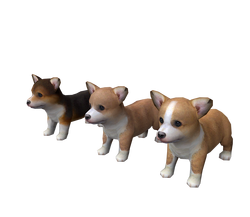 Pembroke Welsh Corgi Nintendogs Wiki Fandom