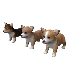 nintendogs corgi