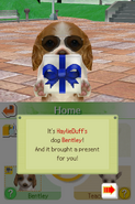 (DS) Haylie Duff's puppy Bentley greeting the player while holding a blue present.