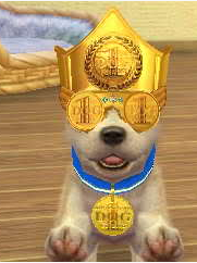 Championship Nintendogs Wiki Fandom