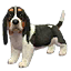 The preview icon for the Basset Hound shown in the Kennel.