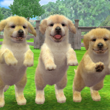 Nintendogs golden retriever clearance