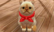 (3DS) Precious from Café Petrov wearing the Chef's Scarf.