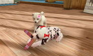 Nintendogs 587