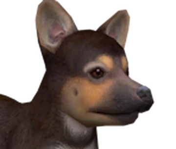 How to Unlock Dog Breeds in Nintendogs And Cats: Ultimate Guide