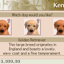 Nintendogs golden retriever clearance