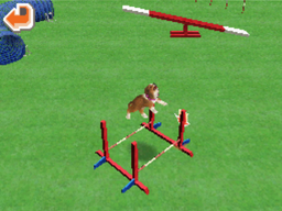 Agility long hurdle