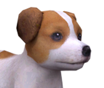Jack Russel Archives - Wiki of Nerds