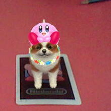 nintendogs and cats ar cards