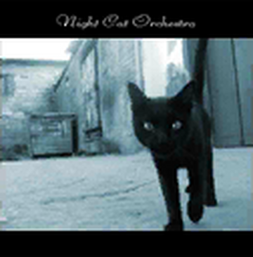 The Cat's Miaow Climb My Stairs レコード Cat Climbing Stairs by Jean-Louis Klein & Marie-Luce Hubert