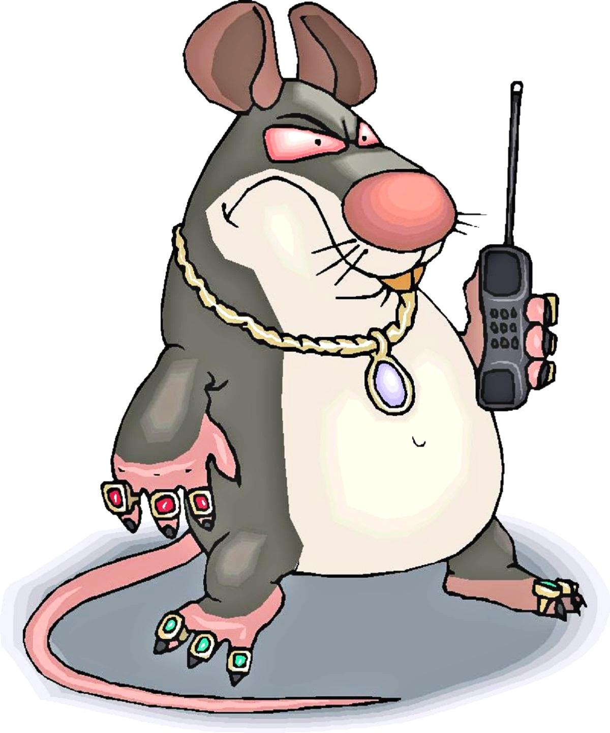 Картинки крысы смешные. Крыса. Крыса рисунок. Смешные крысы. Мышь прикольная.