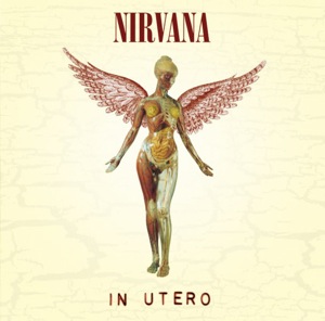 Nirvana Live Come as You Are 6 x CD Box Set inc Seattle, Rio De Janeir –  Two Red Sevens