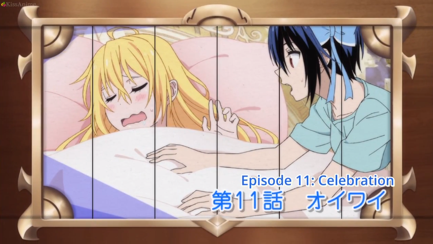 Celebration episode Nisekoipedia Fandom