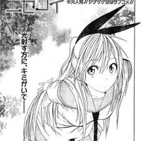 Spoiler Nisekoipedia Fandom Spoiler Nisekoipedia Fandom