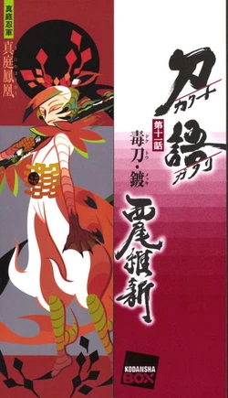 Twelve Possessed Nisioisin Wiki Fandom