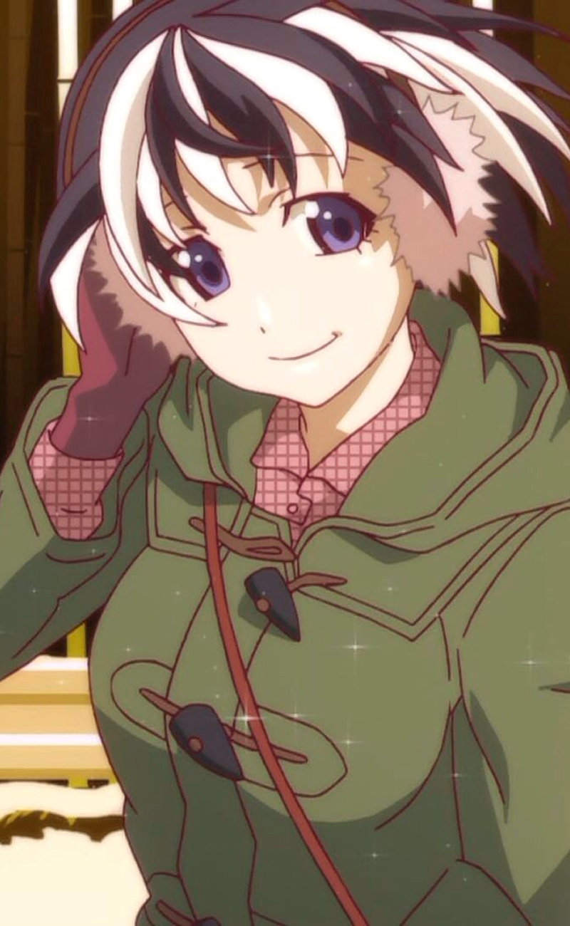 Tsubasa Hanekawa Nisioisin Wiki Fandom