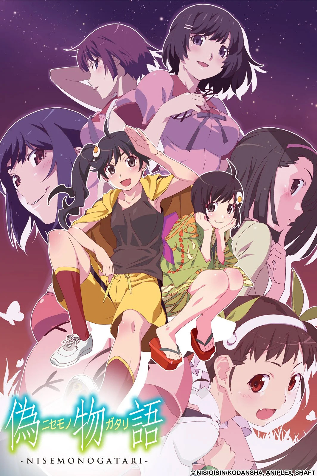 Anime Monogatari Series Heroine Book 4: Nadeko | Bakemonogatari Wiki |  Fandom