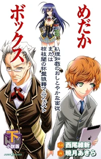 Medaka Box Works Nisioisin Wiki Fandom