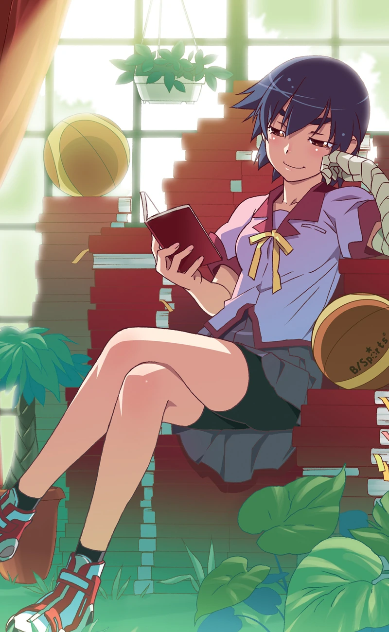 Suruga Kanbaru Nisioisin Wiki Fandom