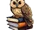Owl of Wisdom