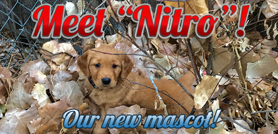 Nitro kennels sales