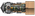 The Evergreen Steamer