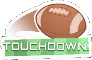 Touchdown!