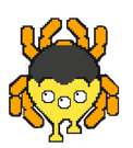 A dead spider