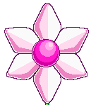 A pink flower