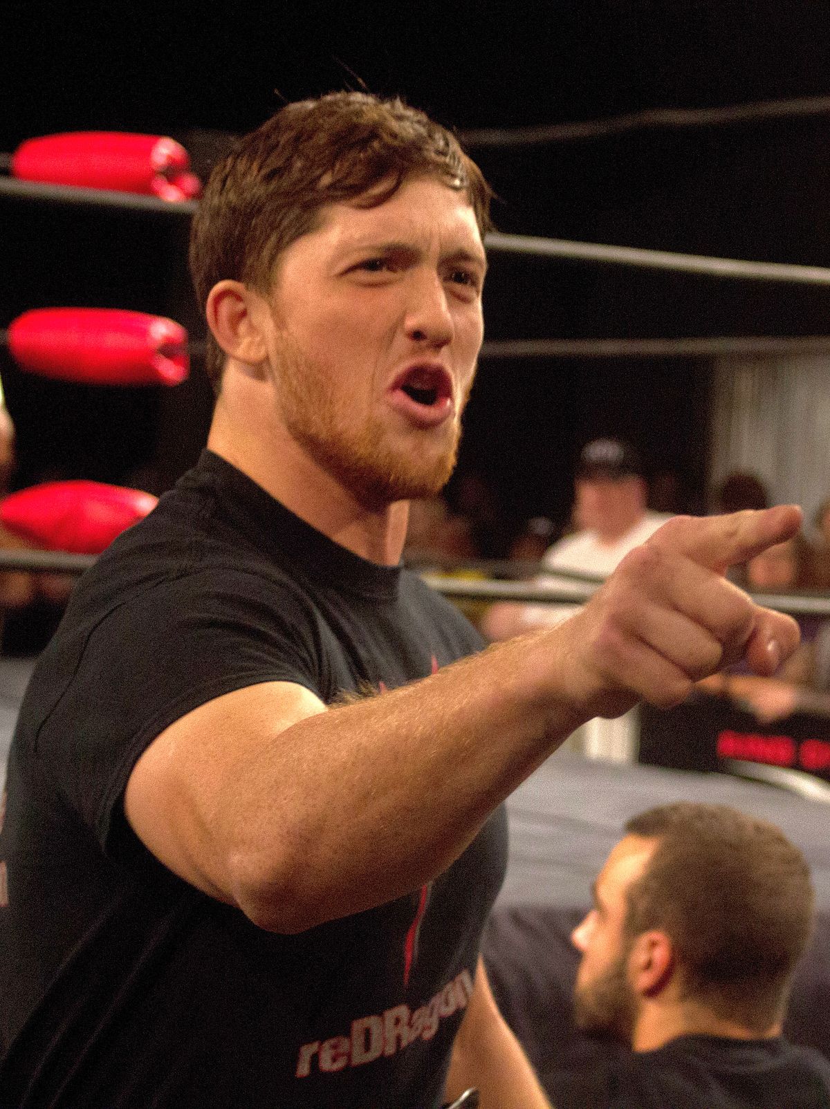 Pro Wrestling Wiki - q7lgcrv