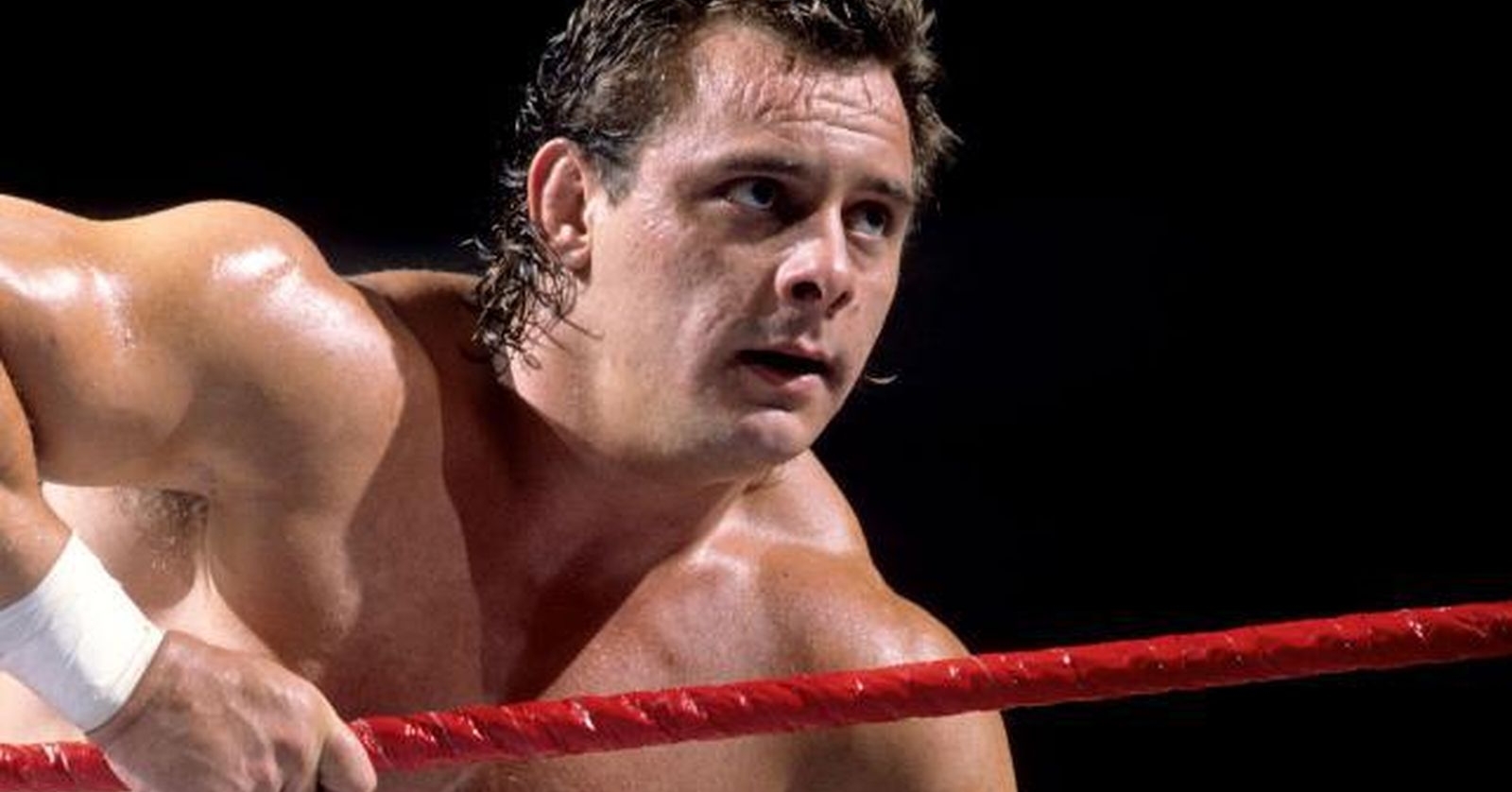 Davey Boy Smith, Pro Wrestling Wiki