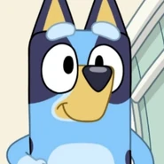Bluey. Recopilatorio de cuentos - Más cuentos de 5 minutos (edición en Bluey. Recopilatorio de cuentos - Más cuentos de 5 minutos (edición en