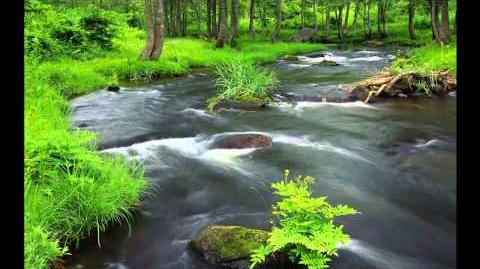 Chinese Music - Forest