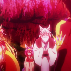 no game no life wiki no game no life wiki fandom