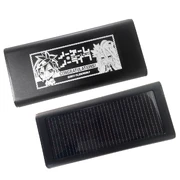 The prize for winner