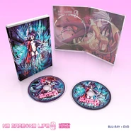 Premium Box Set BluRay + DVD Set (America's/International)