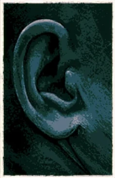 Surgeon | No, I am not a human Wiki | Fandom