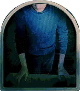 Protagonist No, I am not a human Wiki Fandom