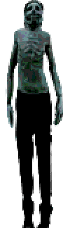 intruder outside
