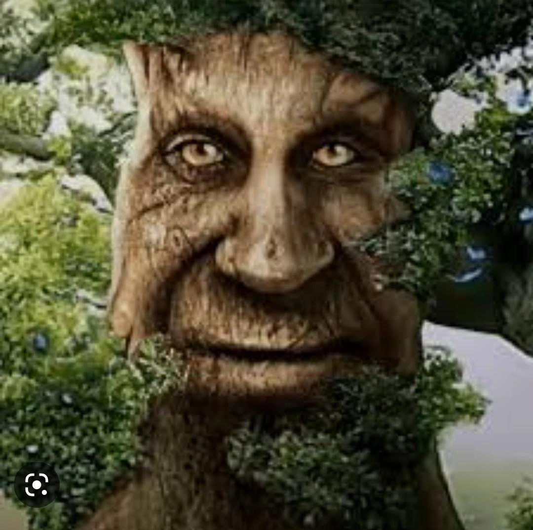 Broccoli | No Names Wiki | Fandom
